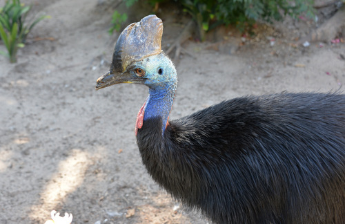 World of Birds Wildlife Sanctuary.